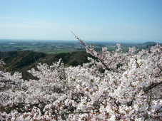 太平山