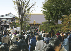 佐野厄よけ大師