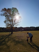 とちぎわんぱく公園