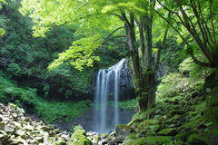 霧降高原