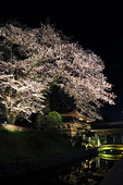 鑁阿寺